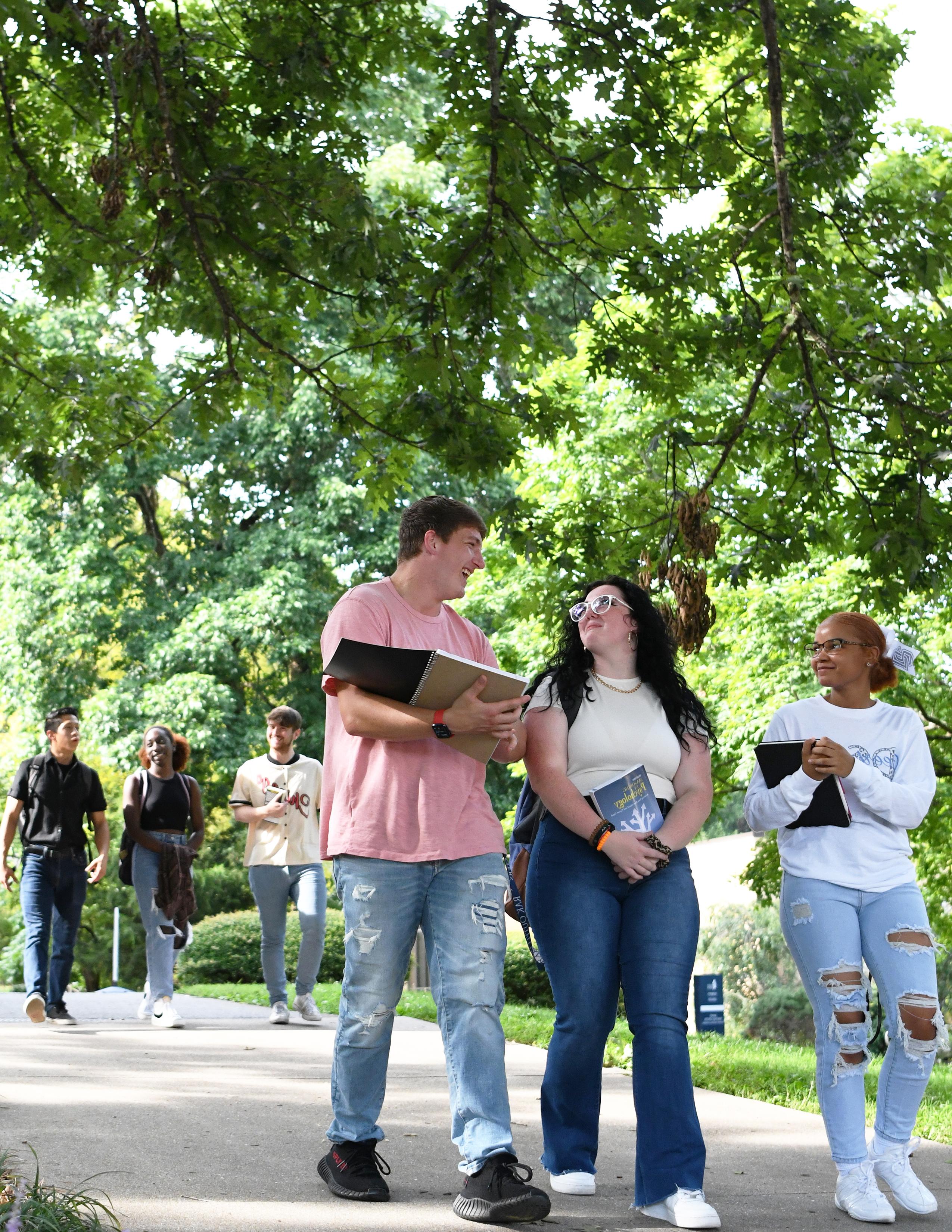 Students walking under verdant trees